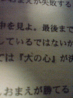 �v�����g