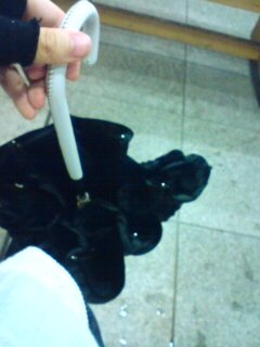 �v���o�͂��̓���