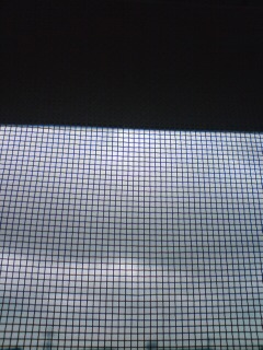 �������܂�