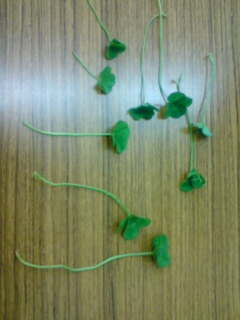 �؉k����̒��ɂ����Ɛg���ς˂�